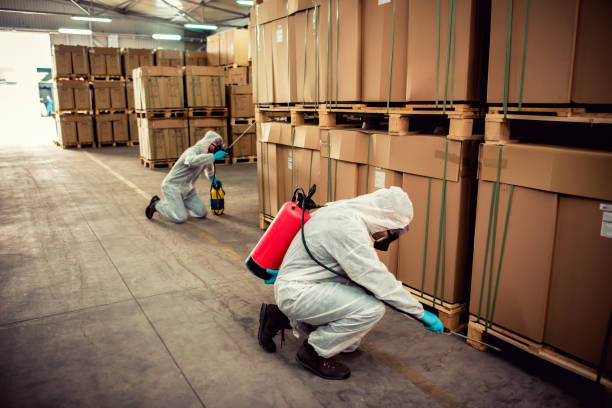 Best Cockroach Control Services  in Holton, KS