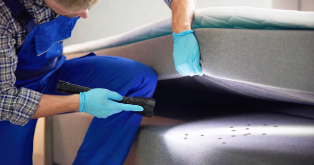 Best Commercial Pest Control Services  in Holton, KS