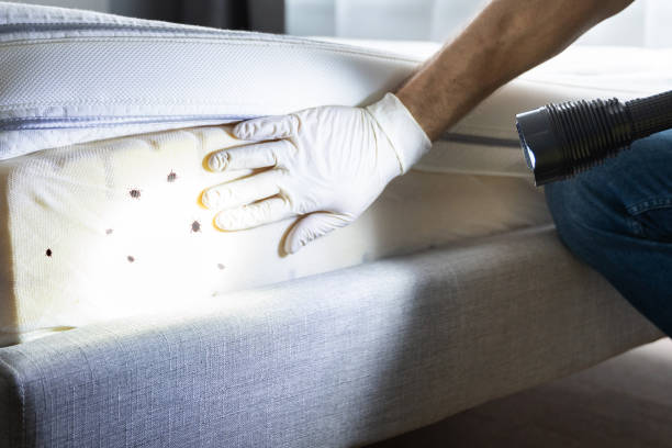 Best Commercial Pest Control Services  in Holton, KS