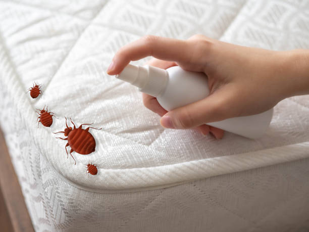 Best Bed Bug Extermination  in Holton, KS