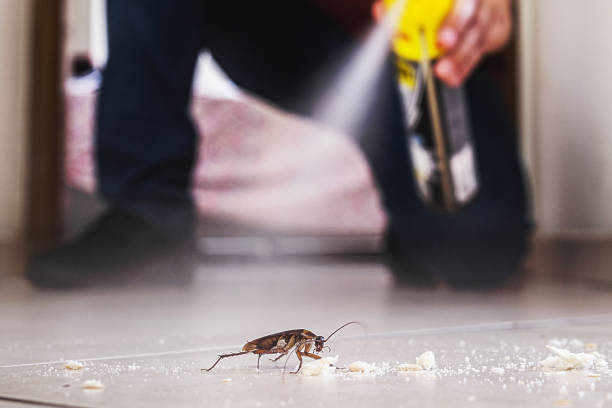 Trusted Holton, KS Pest Control Experts