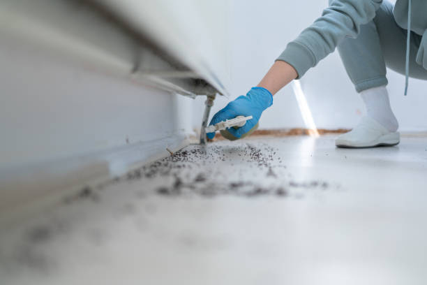 Best Exterminator Services  in Holton, KS